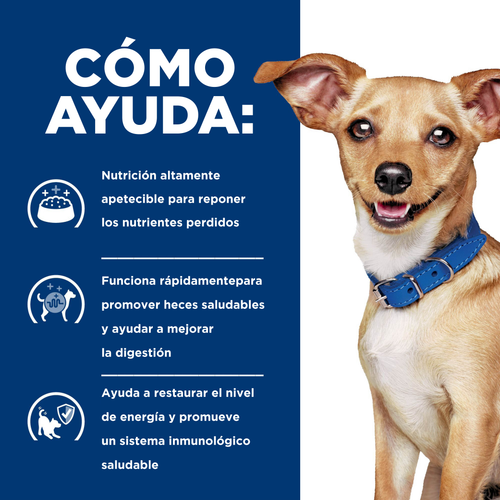 Hills para Perro raza pequeña Cuidados digestivos I/D 1.5 KG 2 Hills para Perro raza pequeña Cuidados digestivos I/D 1.5 KG - Imagen 2