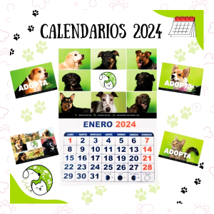 Calendario 2024 Agrupación Vida- A beneficio -