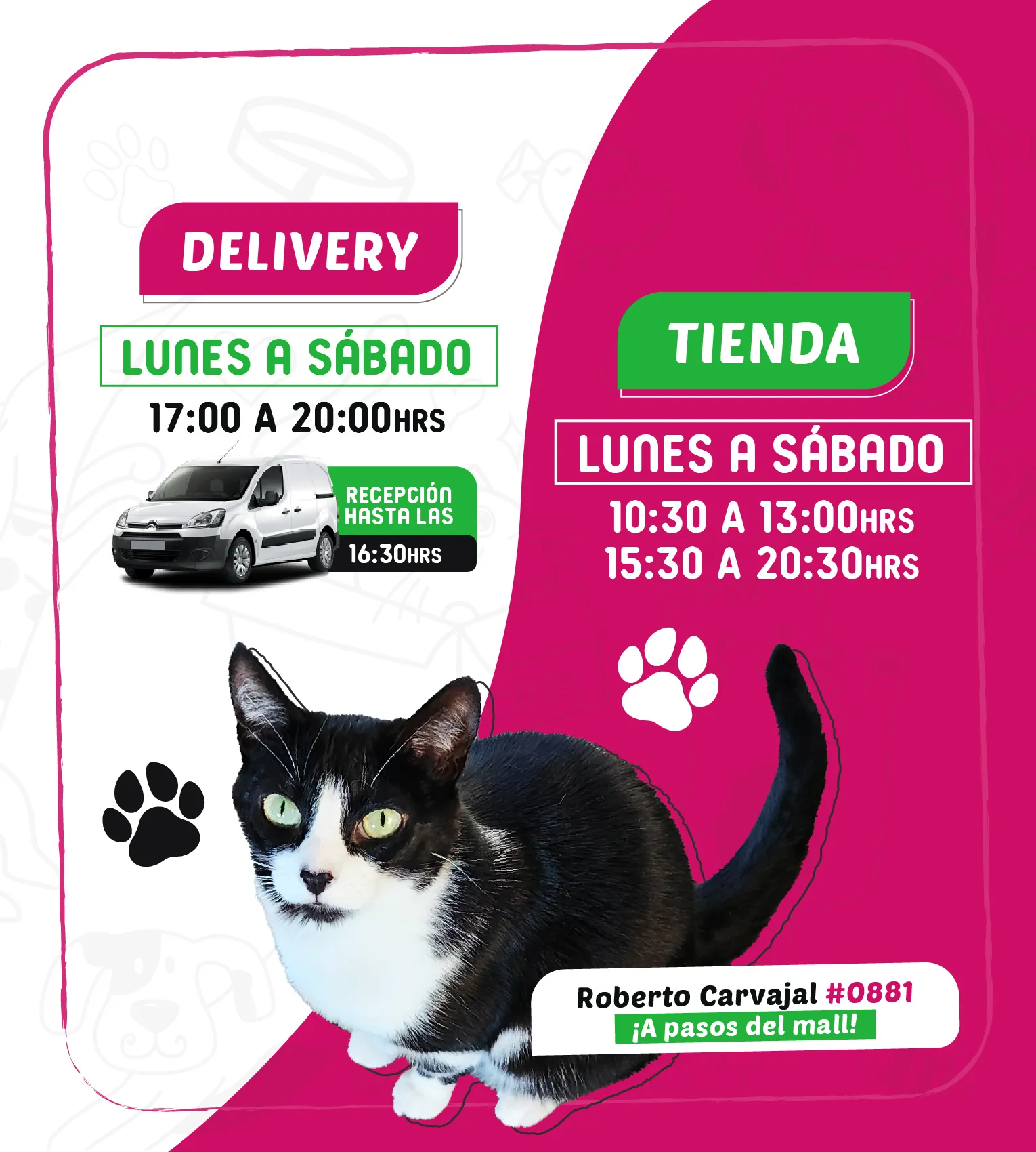 Inicio - Mascotas Food 3