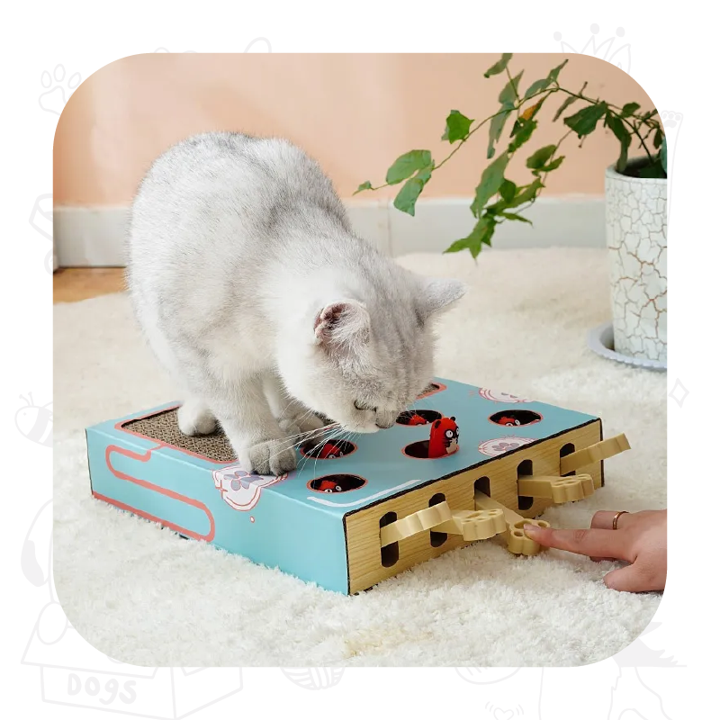 Rascador Interactivo patitas para Gatos 36x26cm 2 Rascador Interactivo patitas para Gatos 36x26cm - Imagen 2