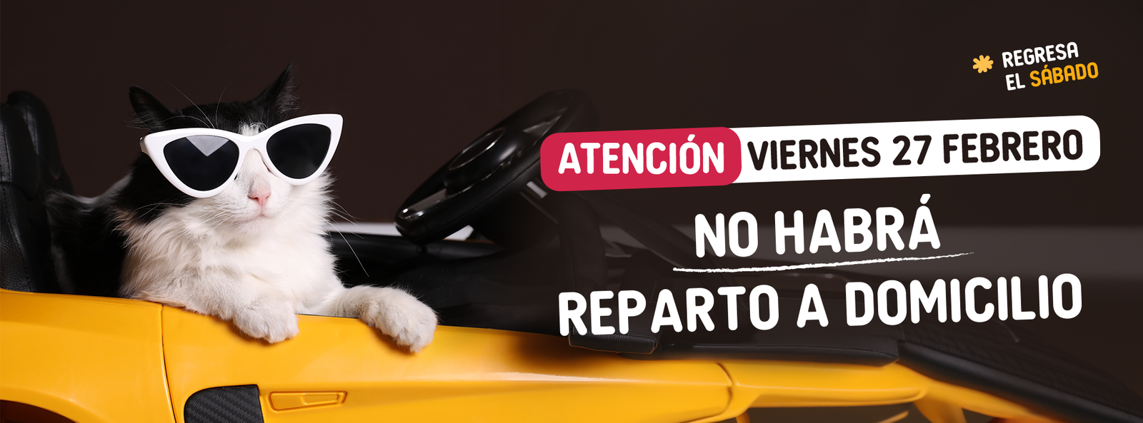 Inicio - Mascotas Food 1