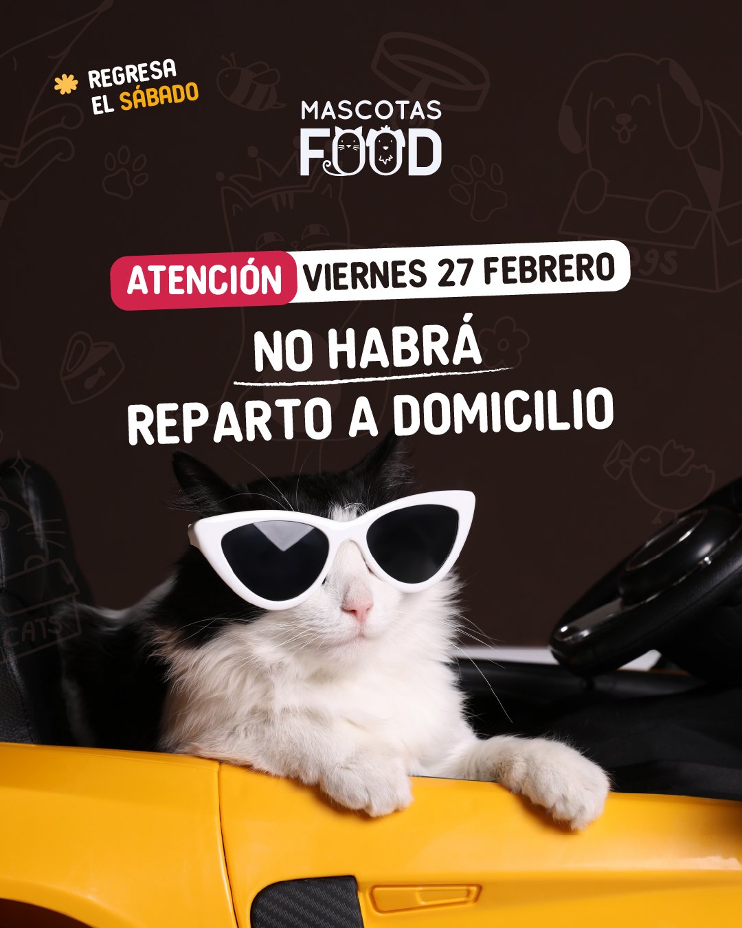 Inicio - Mascotas Food 3