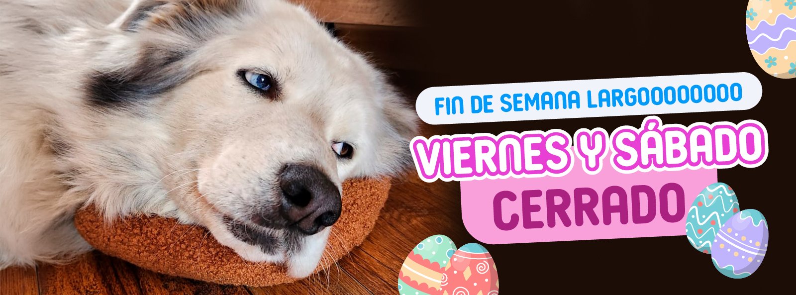 Inicio - Mascotas Food 1