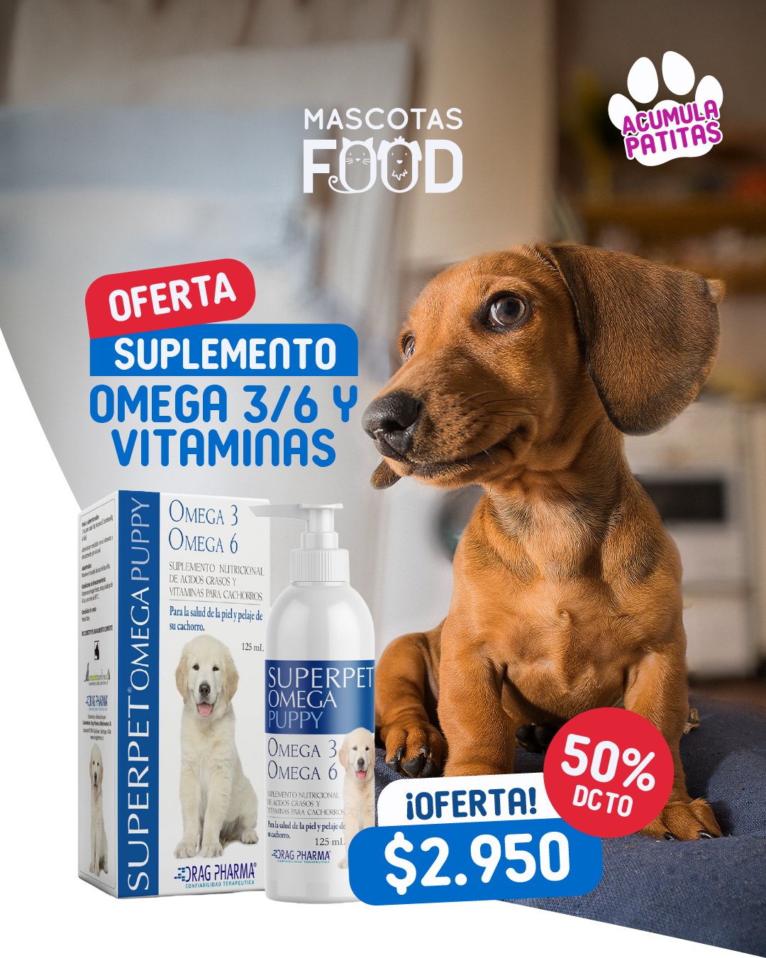 Inicio - Mascotas Food 6