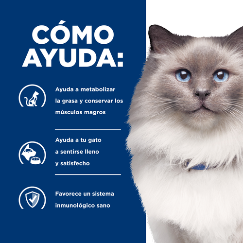 Hills para Gato reduccion de peso R/D 3.85 KG 3 Hills para Gato reduccion de peso R/D 3.85 KG - Imagen 3