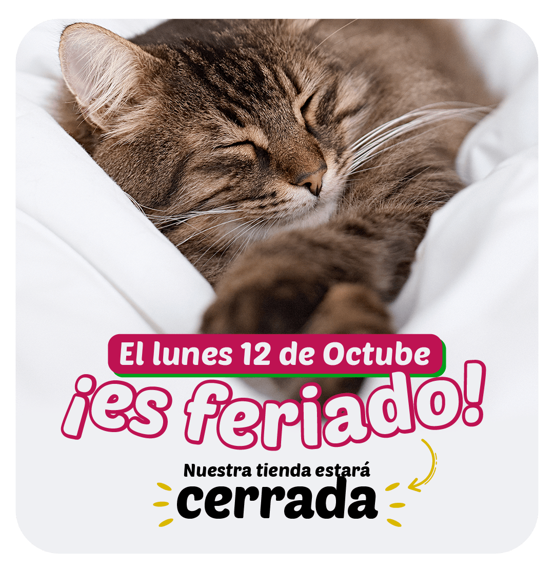 Feriado MB Inicio 2