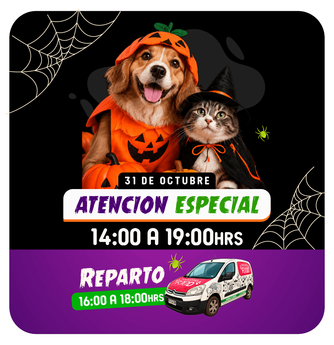 HalloweeenM Inicio 2