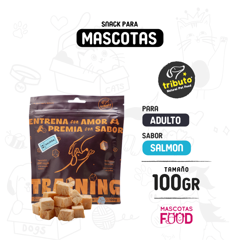 NEW HOME 25 Snack Liofilizado Entrenamiento Tributo Salmon 100 GR